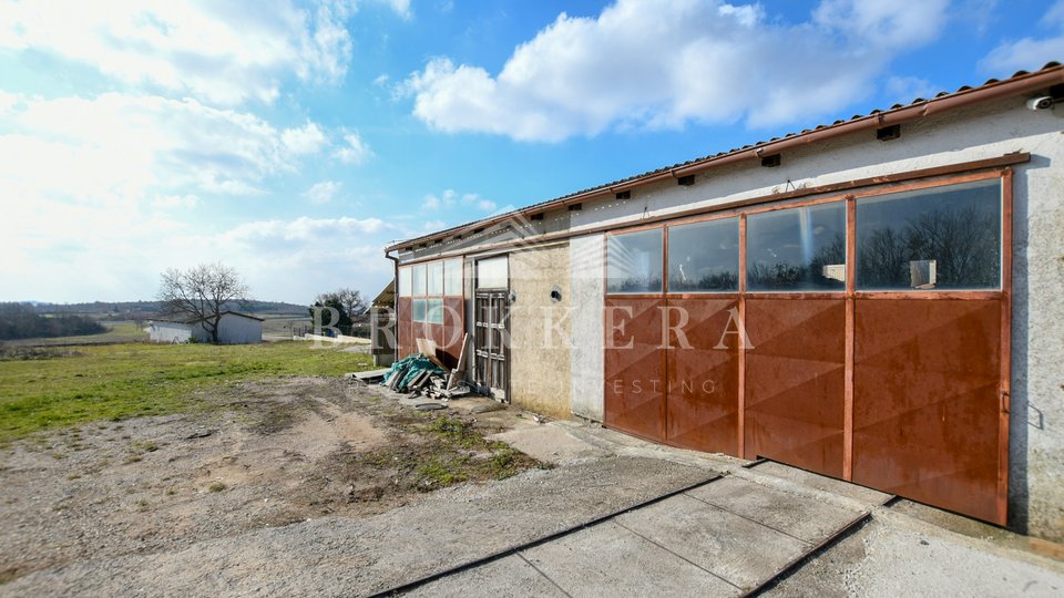 HOUSE WITH BUSINESS SPACE, VIŠNJAN, 270 m2
